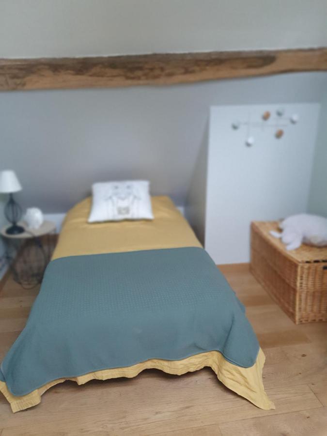 Gite Du "Chat Botte" Zoo De Beauval Chateaux De La Loire 4 Pers Choussy Kültér fotó