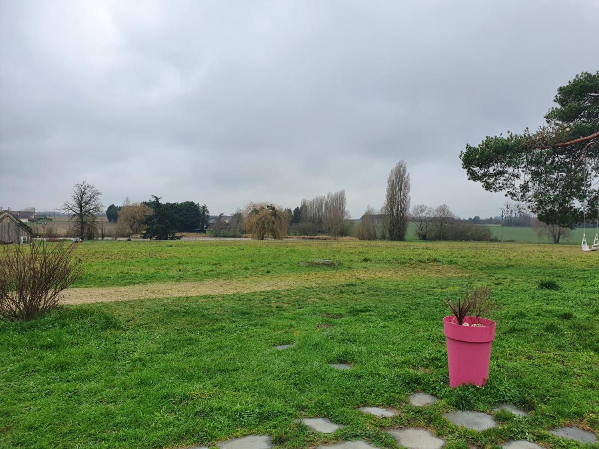 Gite Du "Chat Botte" Zoo De Beauval Chateaux De La Loire 4 Pers Choussy Kültér fotó